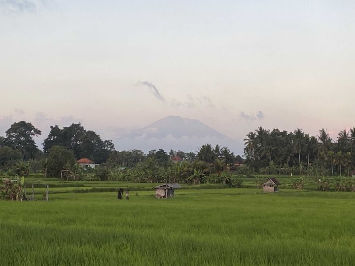 Bali rice fields and volcanoes bali