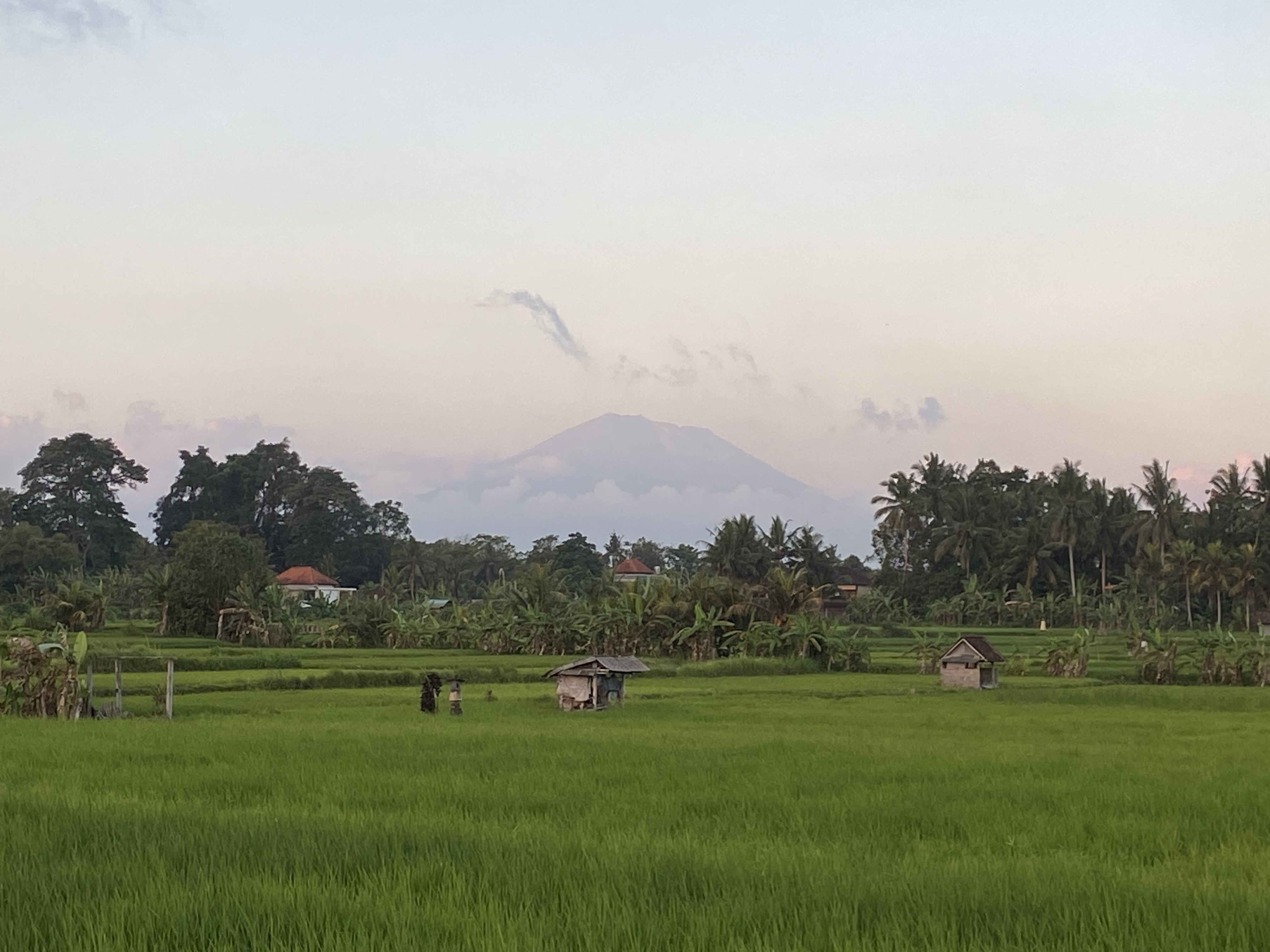 bali